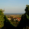 View Of Schweigen From The Vineyard