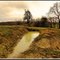 Das Wasser kommt