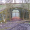 former cave near Nünschweiler 3 / 3