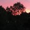 Sunset Waldböckelheim, Deutschland