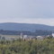 Seesbach - Von Pferdsfeld aus (Teewiese)
