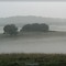 Morgennebel