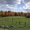 Rota Spring Farm