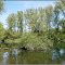 Ein schöner Tag am Altrhein - A Beautiful Day At The "Altrhein"