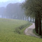 Route entre Dorst et Rolbing, F