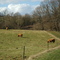 Volmunster : Chemin balisé