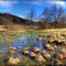 Flooding meadows idyll