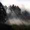 Herbst-Nebel am Raichberg
