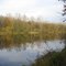 an der Donau bei Oberfahlheim