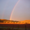 Regenbogen/ rainbow