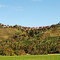 Bürg