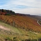 Deutschland / Germany * Baden Württemberg * Weinstadt * Weinberg bei Gross- und Kleinheppach * Panorama * 10.2007