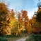 Deutschland / Germany * Baden Württemberg * Weinstadt * Herbstwald Nordseite vom Weinberg bei Gross- und Kleinheppach * Panorama * 10.2007