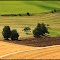Landschaftsfarben im Hegau