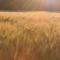 Sonnenuntergang_2