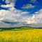 Blick auf den Wartenberg -wolfgang brauner-