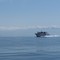 Rushing out to whale-watch. Olympics in background