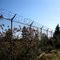 Rithet Reservoir security fence. READ MORE IN PANORAMIO/COMMENT