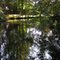 Lohbrunner Park pond. READ INFO IN PANORAMIO/COMMENTS