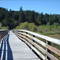Florence Lake Boardwalk