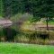 Wetlands By The Lake