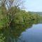 Naturschutzgebiet "Alter Neckar"