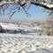 Winterstimmung in Freiamt-Mußbach, Winter atmosphere in Freiamt-Mußbach