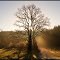 Morgenlicht im Herbst