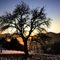 Last Daylight