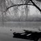 Wintermorgen - winter morning