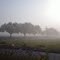 Nebel im Schwarzwald / Fog - © AW