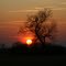 Sonnenuntergang bei Hausen, Bad Krozingen -wolfgang brauner-