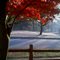 fire and fog 1