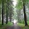 Heiligenberg