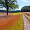 az út a cél / der weg ist das ziel