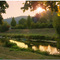 Abenddämmerung...Wiese...PL