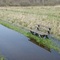 Rast am Federsee - Ein kühlendes Fußbad inbegriffen