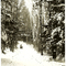 Savanna Portage 2