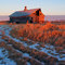 Old farm near Tamarak