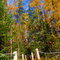 Remote Lake Solitude Area
