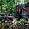 Old Hunting Shack.