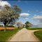 Frühling bei Dunningen