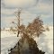 Die Eschach im Winter