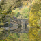 Steinbrücke im Bühlertal