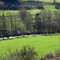 Bühlertal