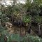 Tropical Island - Größter Indoor Regenwald der Welt -