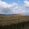 Zirkelschacht bei Klostermansfeld