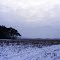 Niederlausitz im Winter bei Lieskau