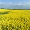 Sommer in Vierow