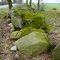 Germany_Western Pomerania_Kruckow-Leppin_megalithic tomb_P1180616.JPG